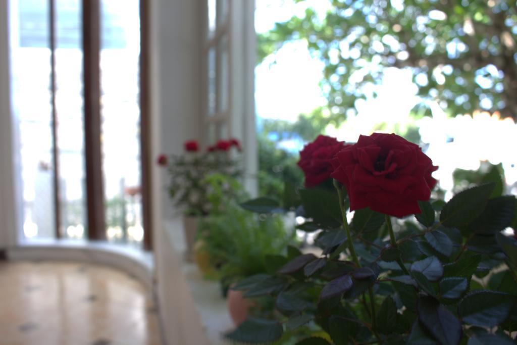 Des Ami Villa Vung Tau Buitenkant foto